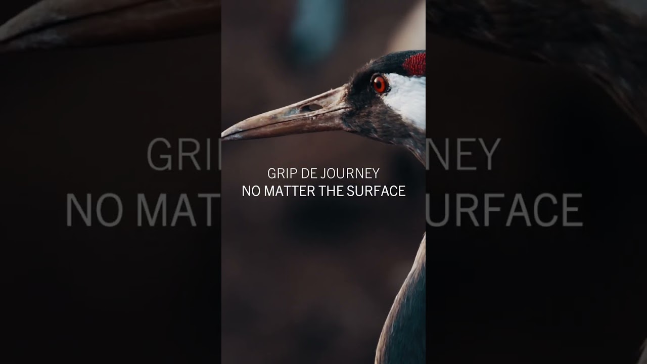 Heron Grips - Teaser 1