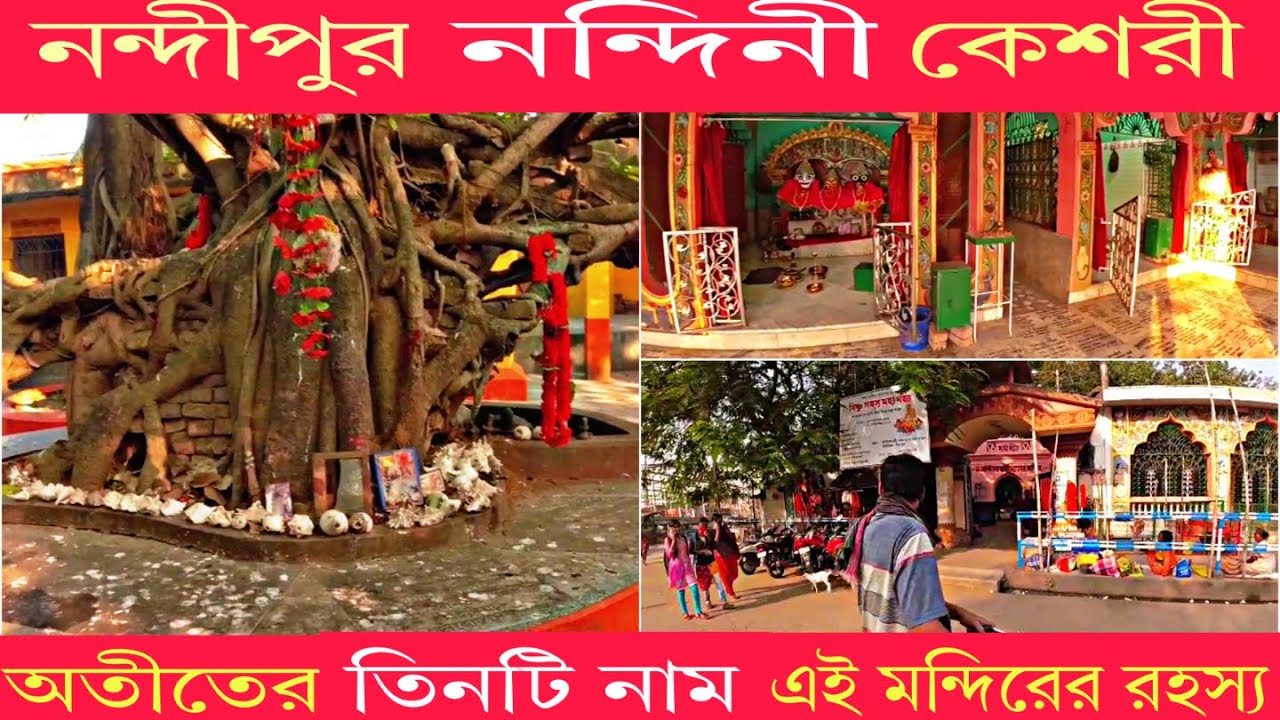 নন্দীপুর/নন্দিনী/কেশরী/সতীপীঠ নন্দিকেশ্বরী/Nandikeshwari Temple, sati peeth sainthia, birbhum |