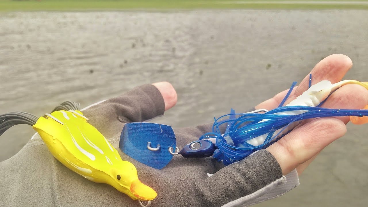 ESSAS ISCAS e nada mais O Patinho Hoplias, Chatter bait Deconto. Pesca