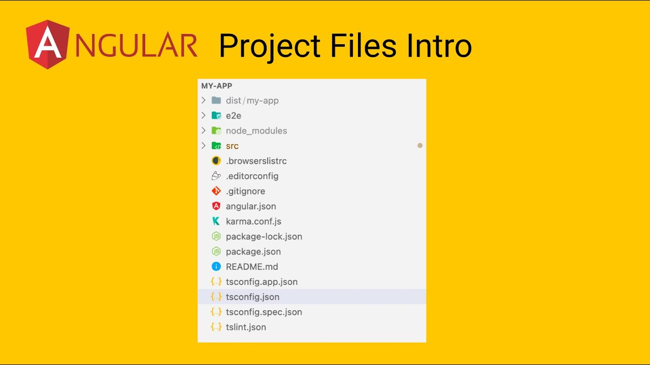 Angular File Structure Introduction
