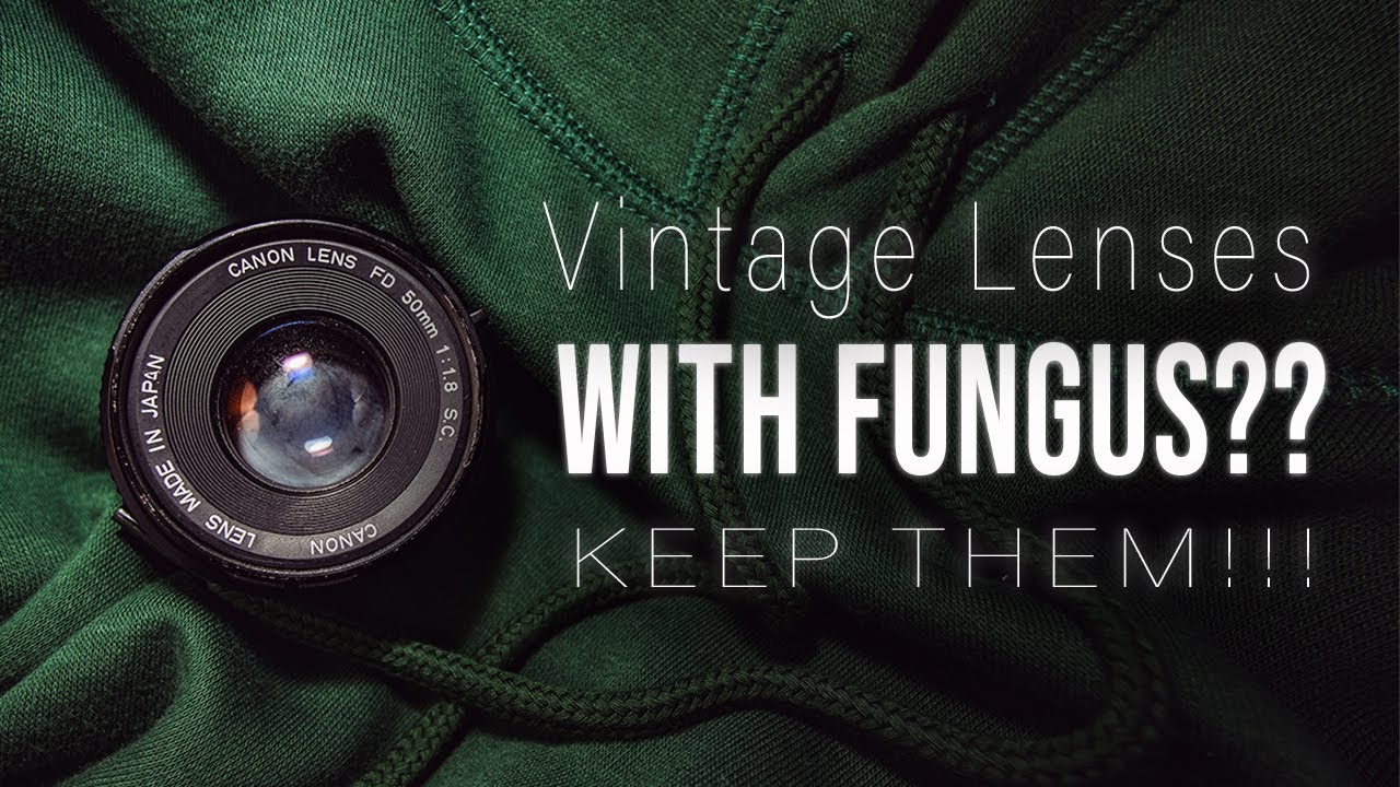 Vintage Lenses With Fungus??? KEEP THEM!!