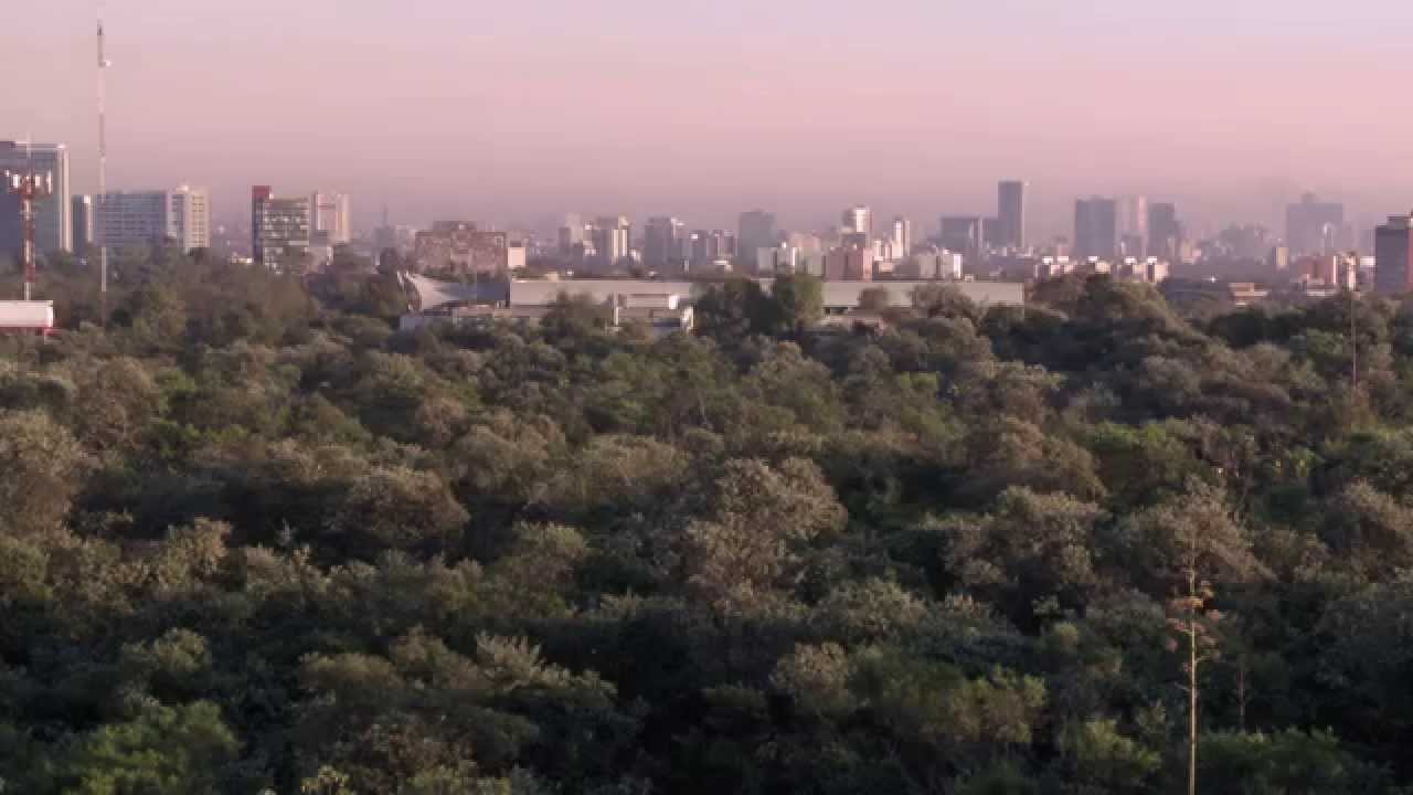 Reserva Ecológica del Pedregal de San Ángel