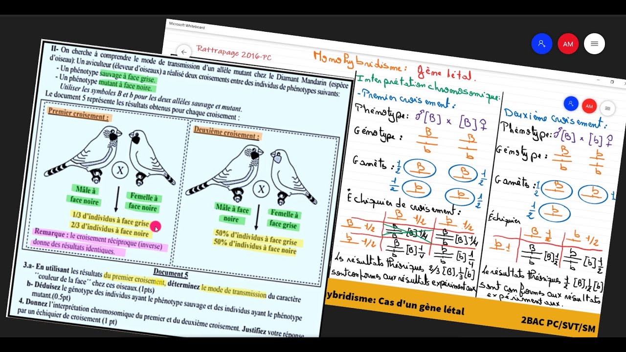 7-Rattrapage 2016 PC: Monohybridisme: Cas de Gène létal 2BAC SVT/PC/SM