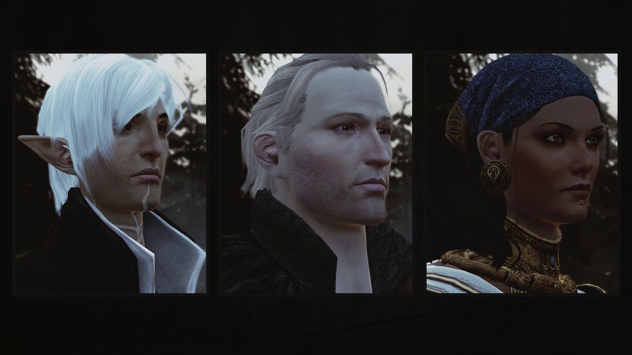 Companions about Fenris & Hawke [Party Banter] | Dragon Age 2