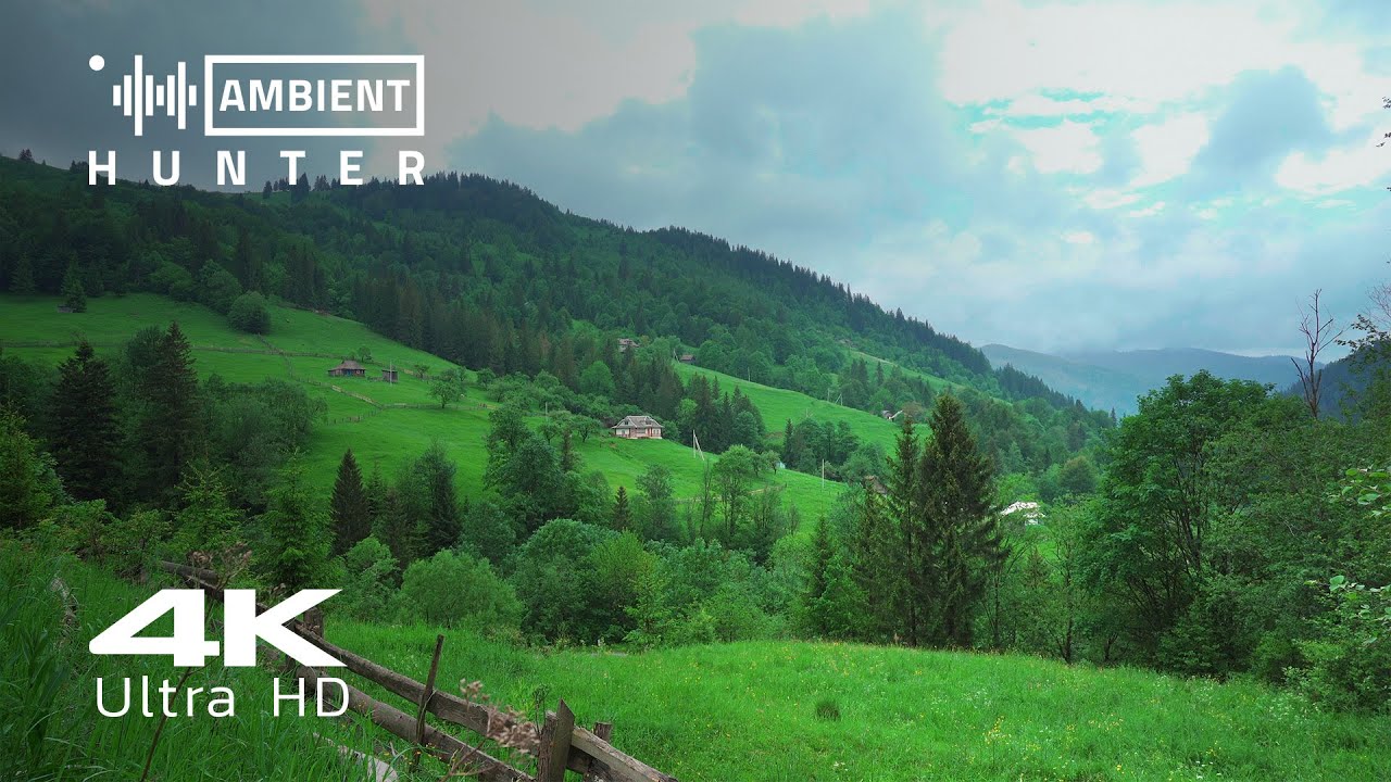 Sound of Carpathian Mountains - 2 Hours of Birdsong - 4K Video