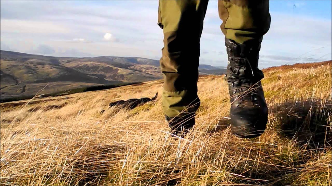 Longrange/ langholdsfilmen blog 61: Gem the labrador
