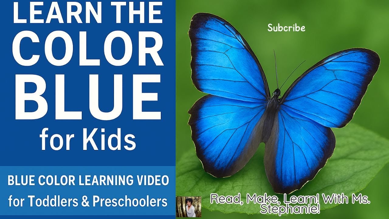 Learn the Color Blue for Toddlers | Preschool Color Learning Video