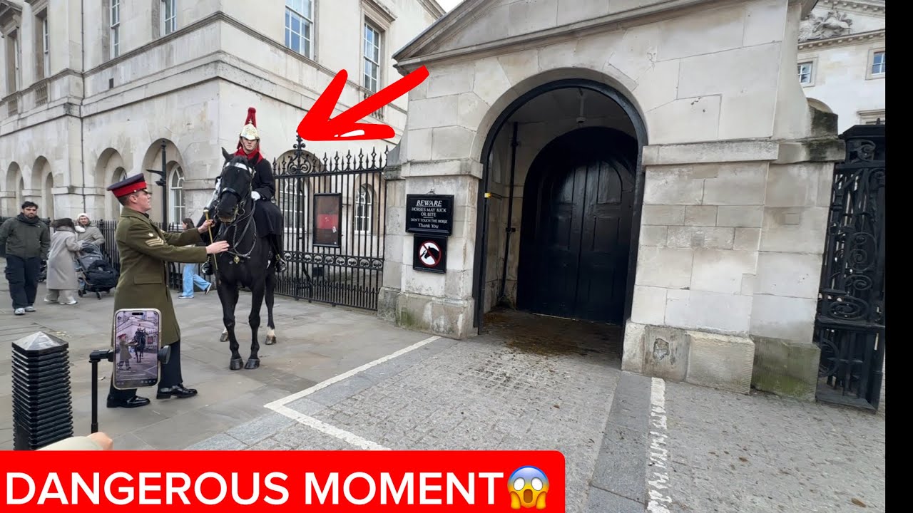 Shocking Moment! Royal Horse Breaks Out and Runs at Public