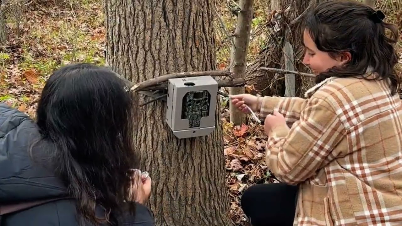 Field Exploration in Environmental Science