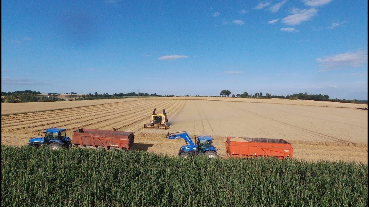 Moisson de blés 2020 / New Hollande  TX 34 [DRONE]