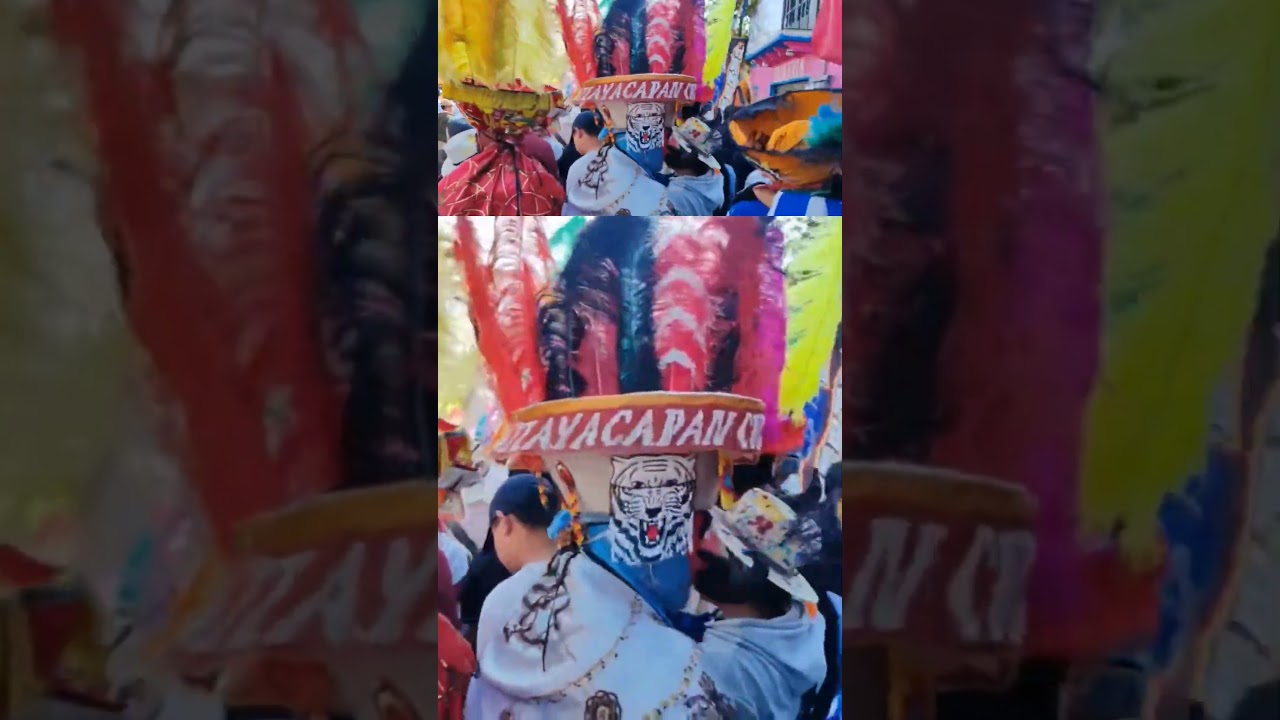 Brinco del Chinelo 2026: 15 Aniversario Comparsa Brujos de Texcalpa/1m