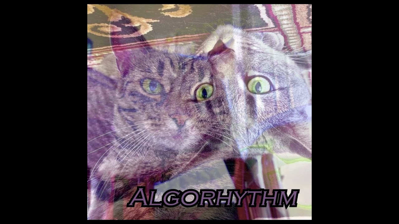 Algorhythm