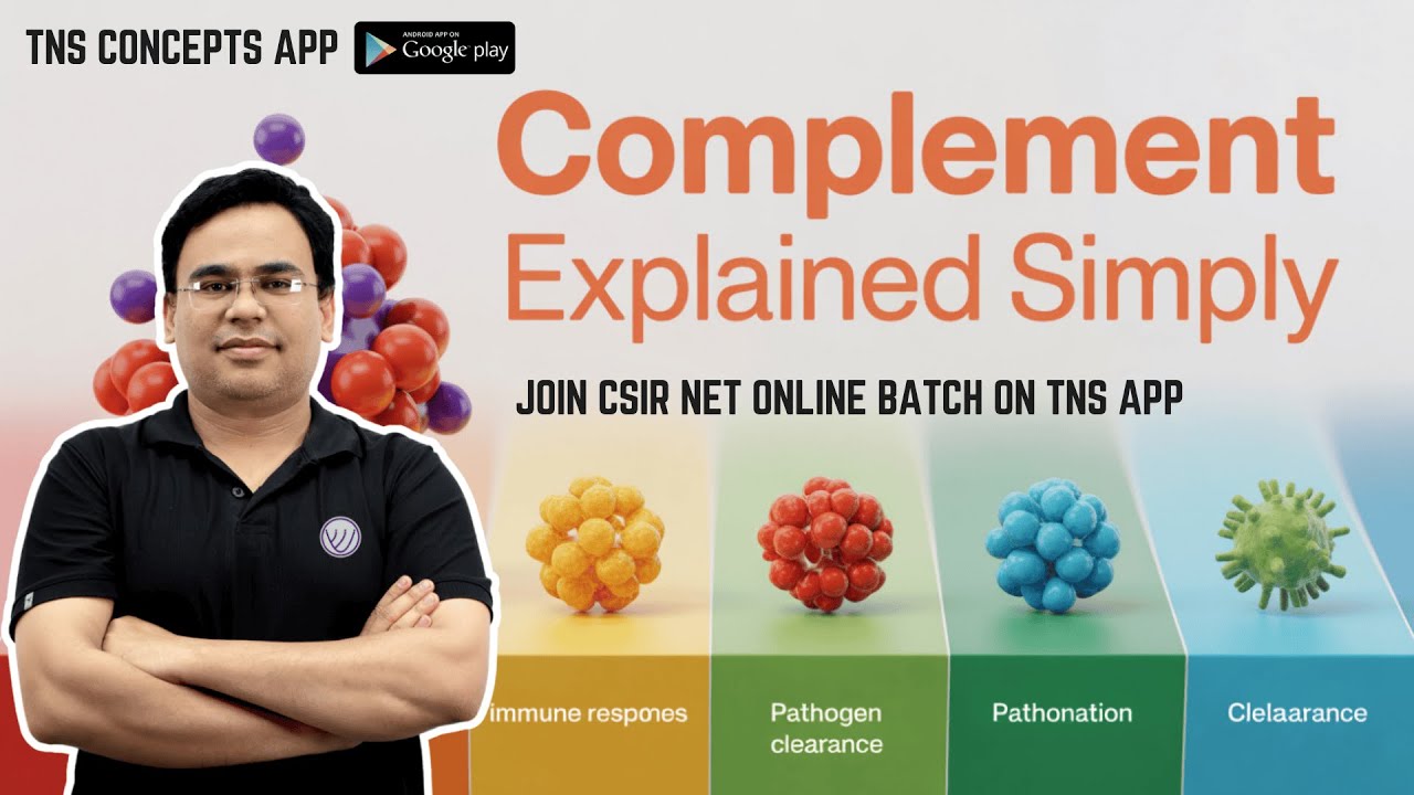 What's the Complement System's POWER in Immunology?