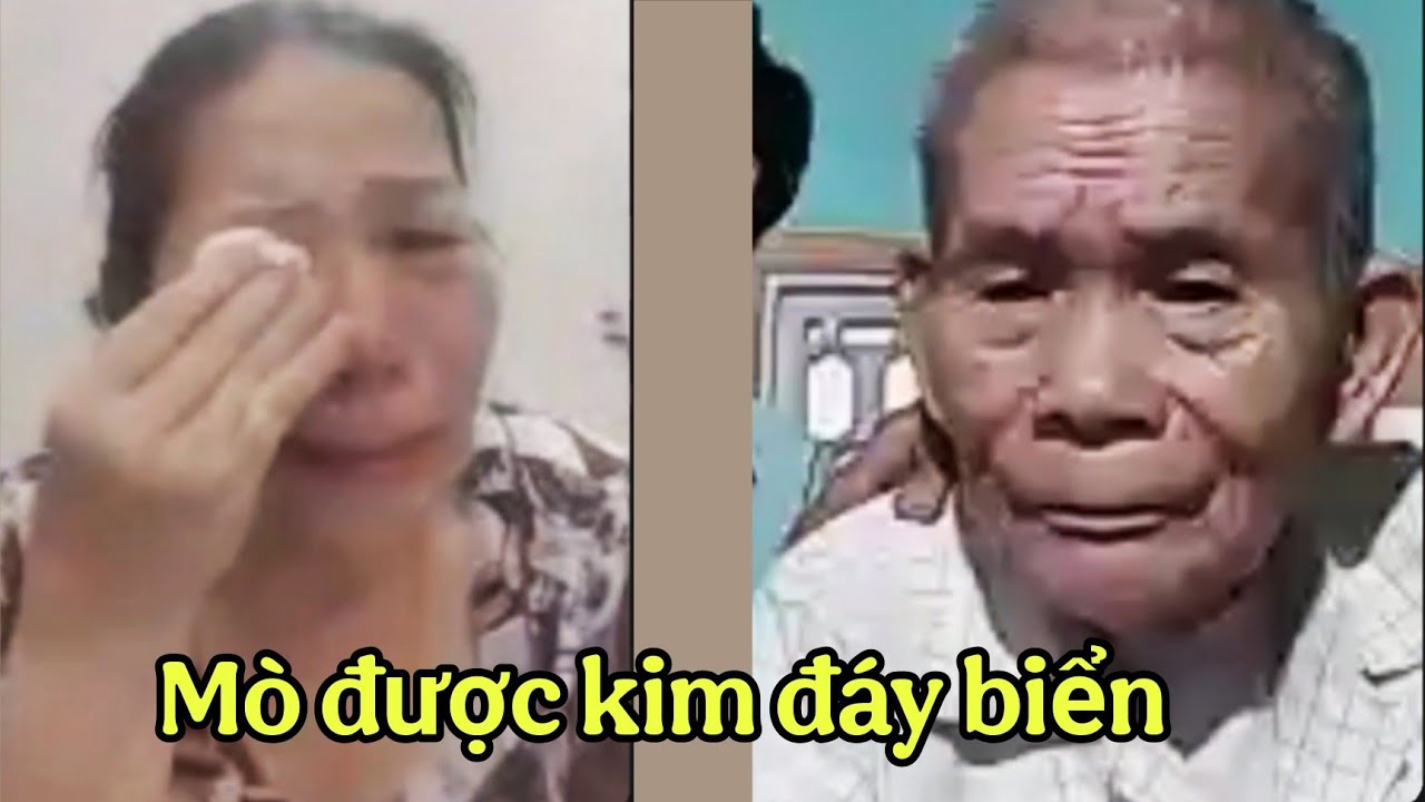 ( 2931 ). Thấy cha bị địch k&eacute;o l&ecirc; Về L&agrave;ng tưởng Cha đ&atilde; mất. Ai ngờ Cha c&ograve;n sống.