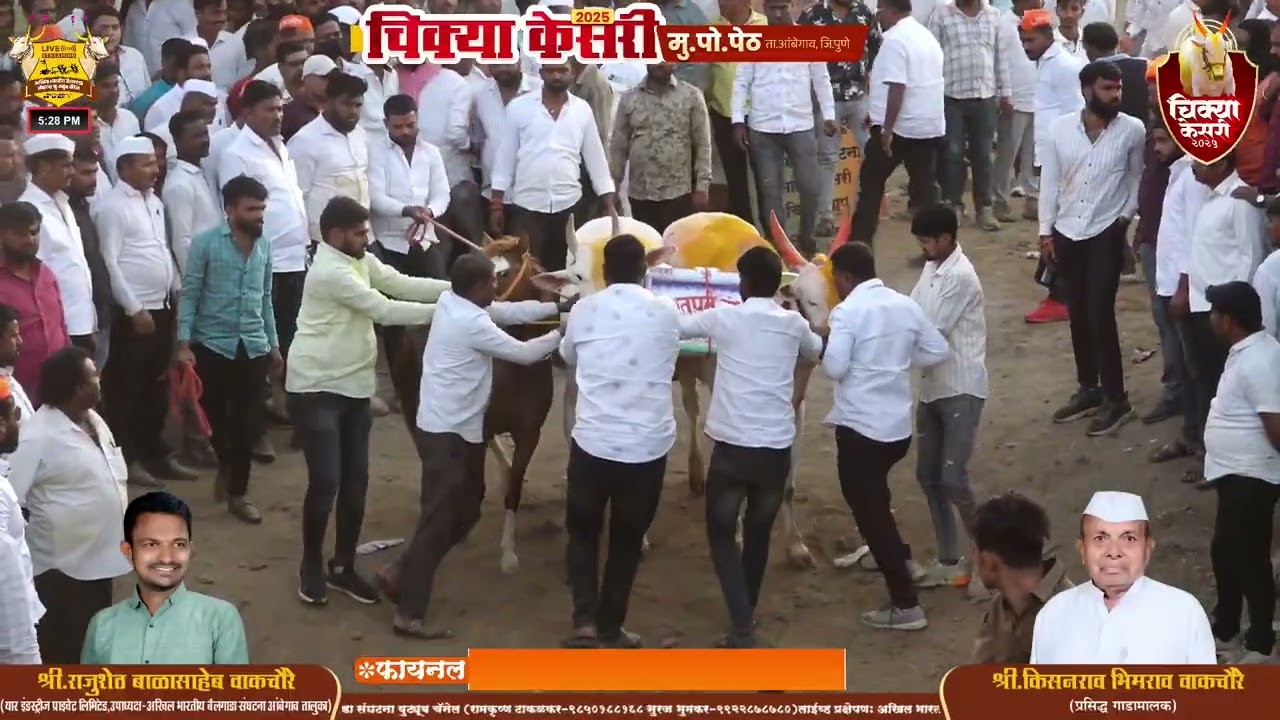 चिक्या केसरी २०२५ || पेठ || फायनलच्या सर्व बाऱ्या