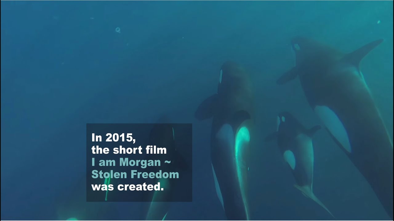 6 years on, I am Morgan ~ Stolen Freedom