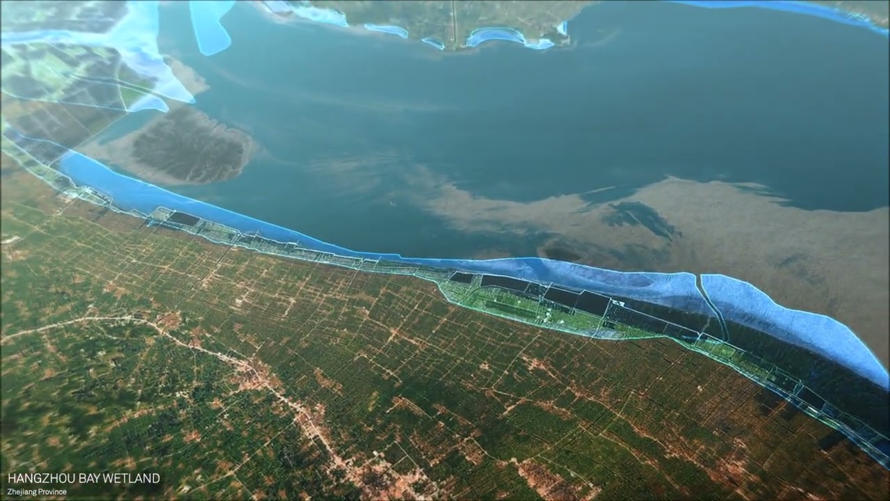 Yellow Sea Wetlands Loss - Data Visualisation by 422 South