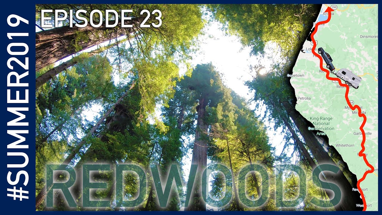California Redwoods - #SUMMER2019 Episode 23