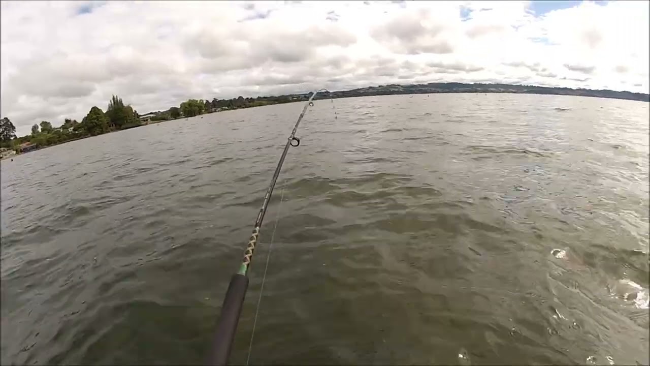 NEW ZEALAND TROUT FISHING NORTHEASTER