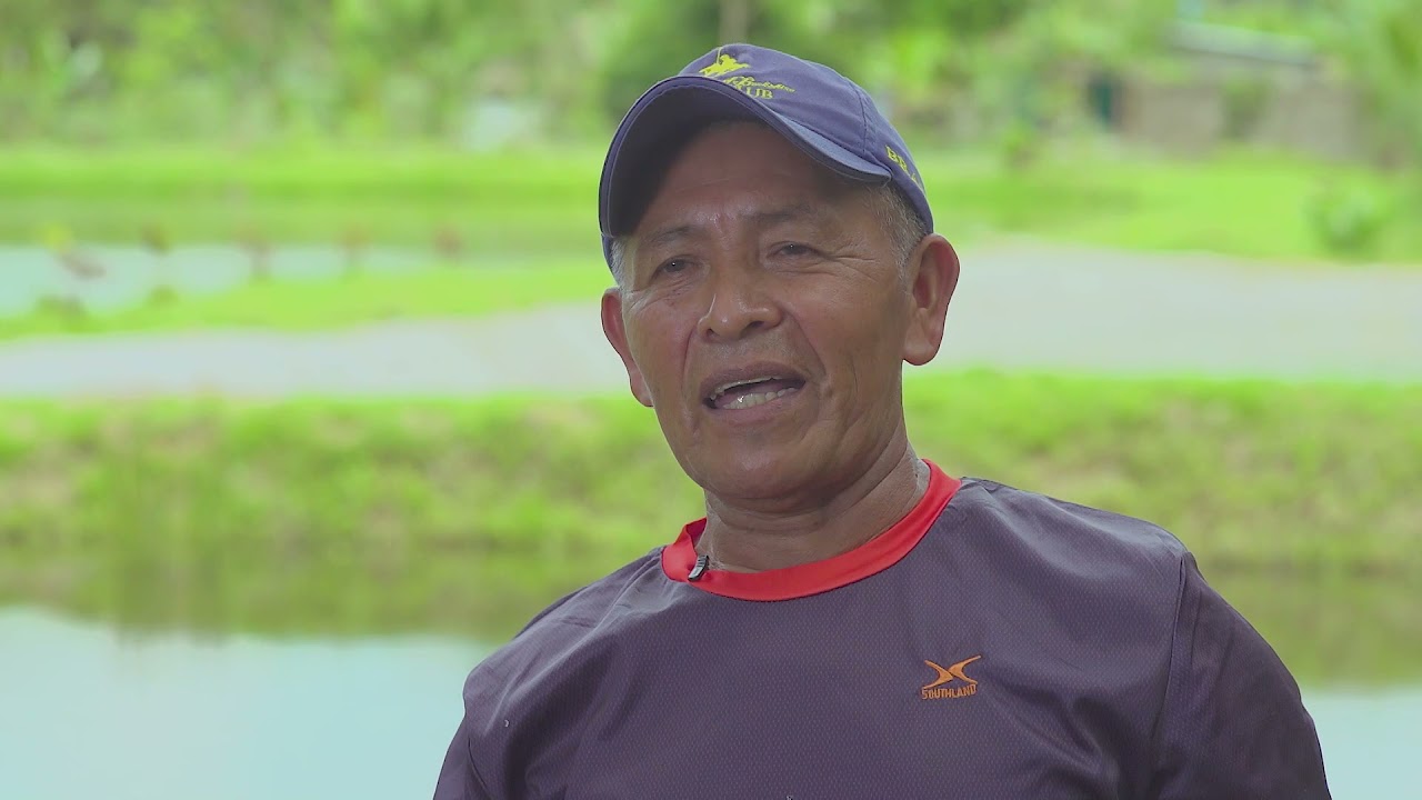 Agro al día | Tilapias