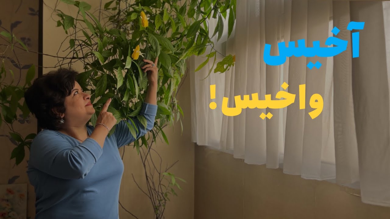 داستان و خاطره آخیس واخیس.باورم نمی شد عجیب بود برای همه عجیب بود