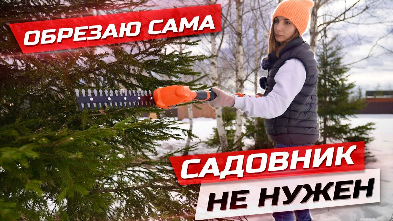 Формирую кроны берез аккумуляторным кусторезом, неужели это так легко делать? Daewoo daht 1212 Li