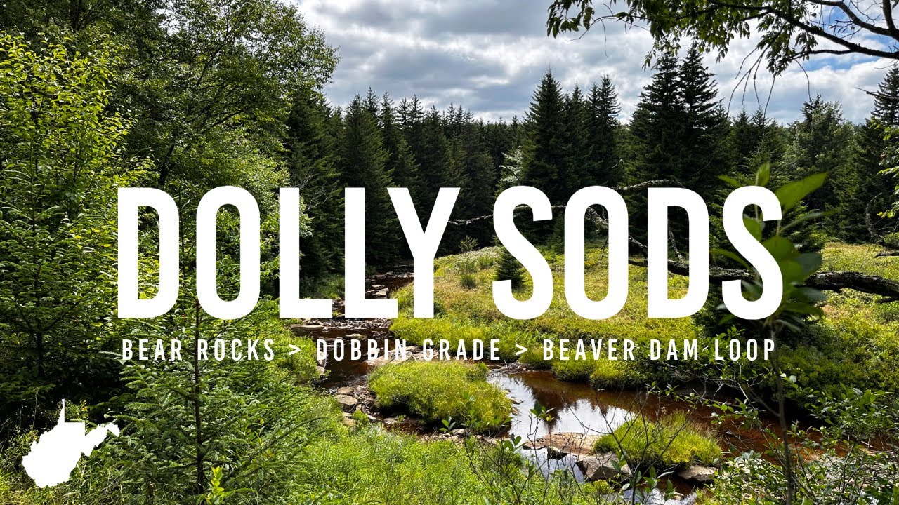 Dolly Sods | Bear Rocks, Dobbin Grade, and Beaver Dam Loop
