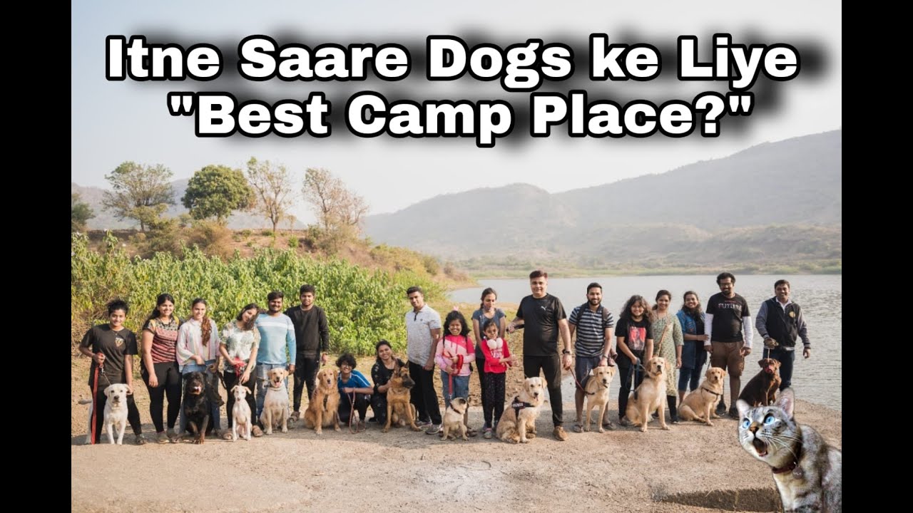 Its Just Dogs & Dogs & So Many Dogs...... ! Yeh Hai Best One Day Picnic Spot In Mumbai
