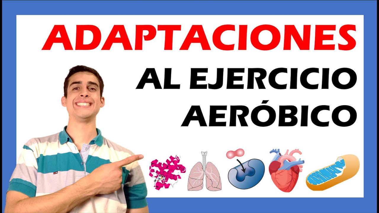 #1 ADAPTACIONES CENTRALES y PERIFERICAS 🏋🏻 Que es la HIPERTROFIA del VENTRICULO IZQUIERDO??