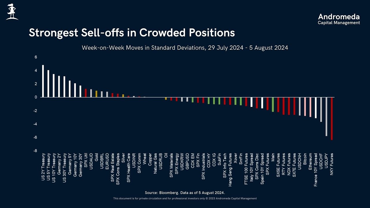 Andromeda Capital Management | Credit Webcast | August 2024