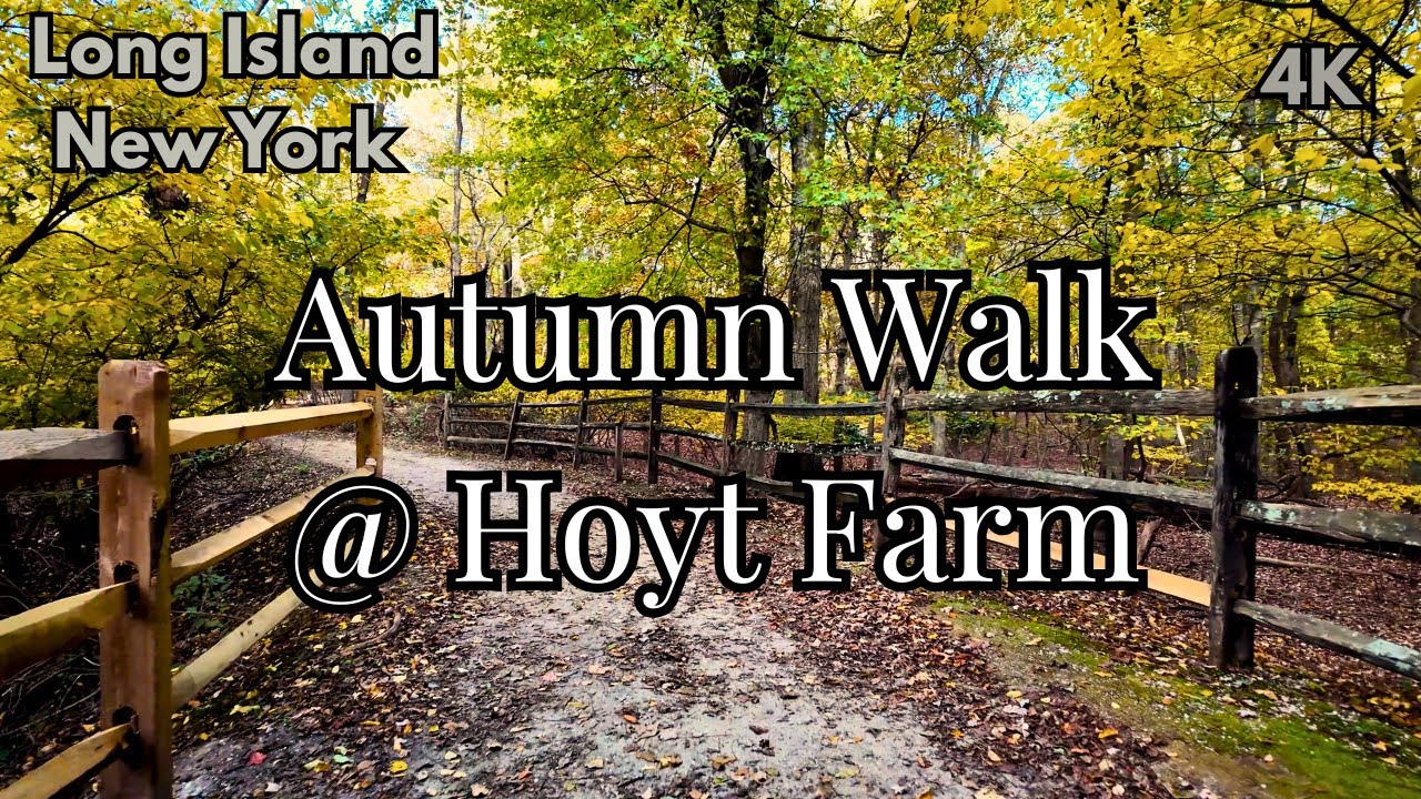 Fall Foliage Walk at Hoyt Farm, Long Island [4K POV]