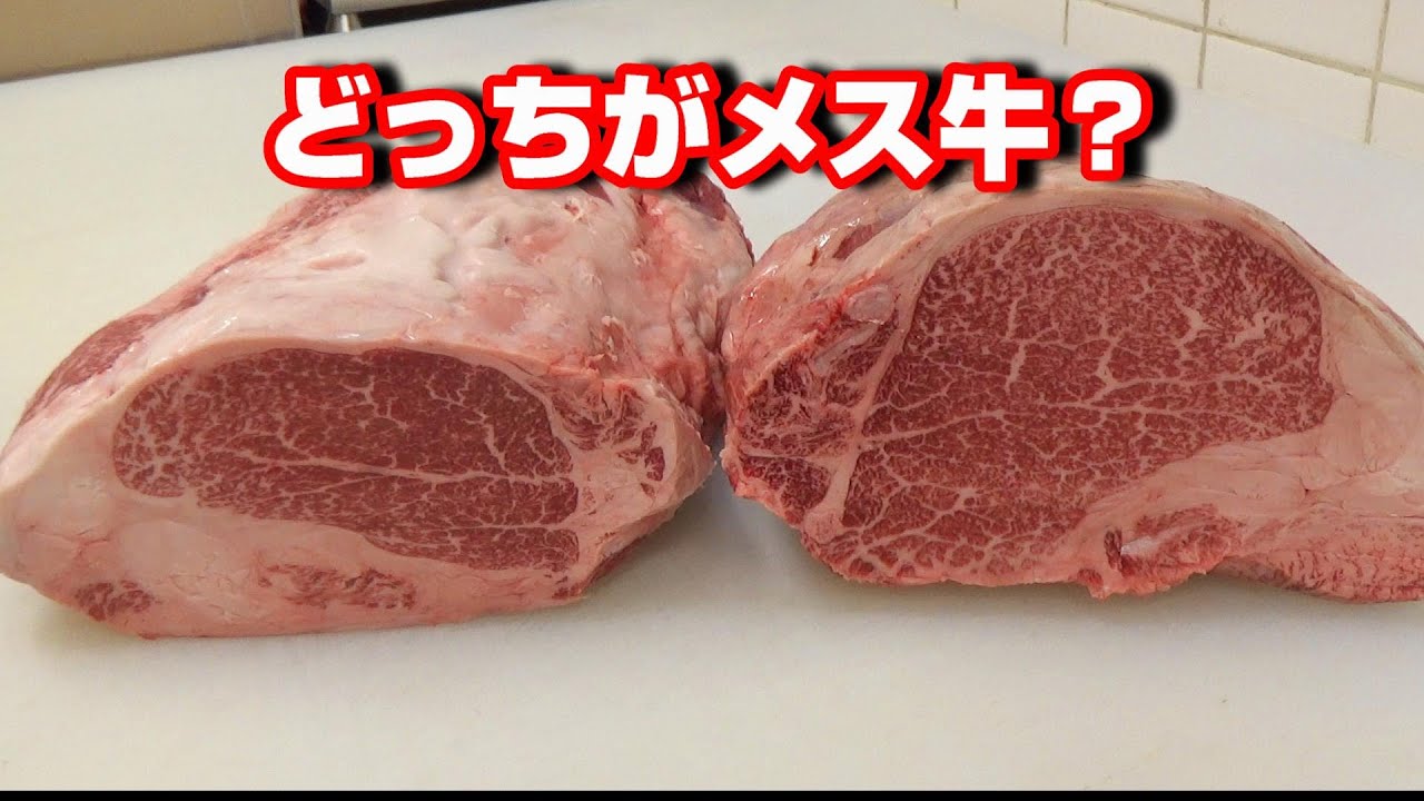 【牡と牝】見た目の違いを肉屋の店長が解説します