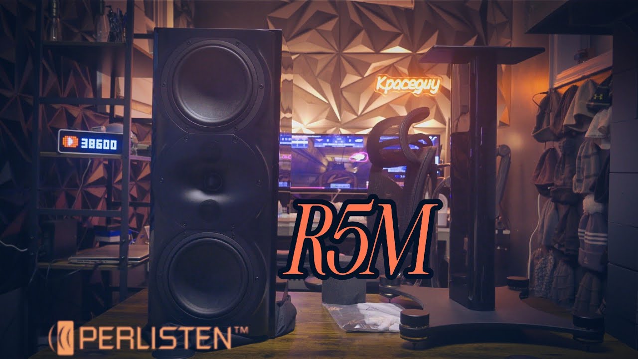 Introducing the Perlisten R5M ! Best Monitor for the Price?