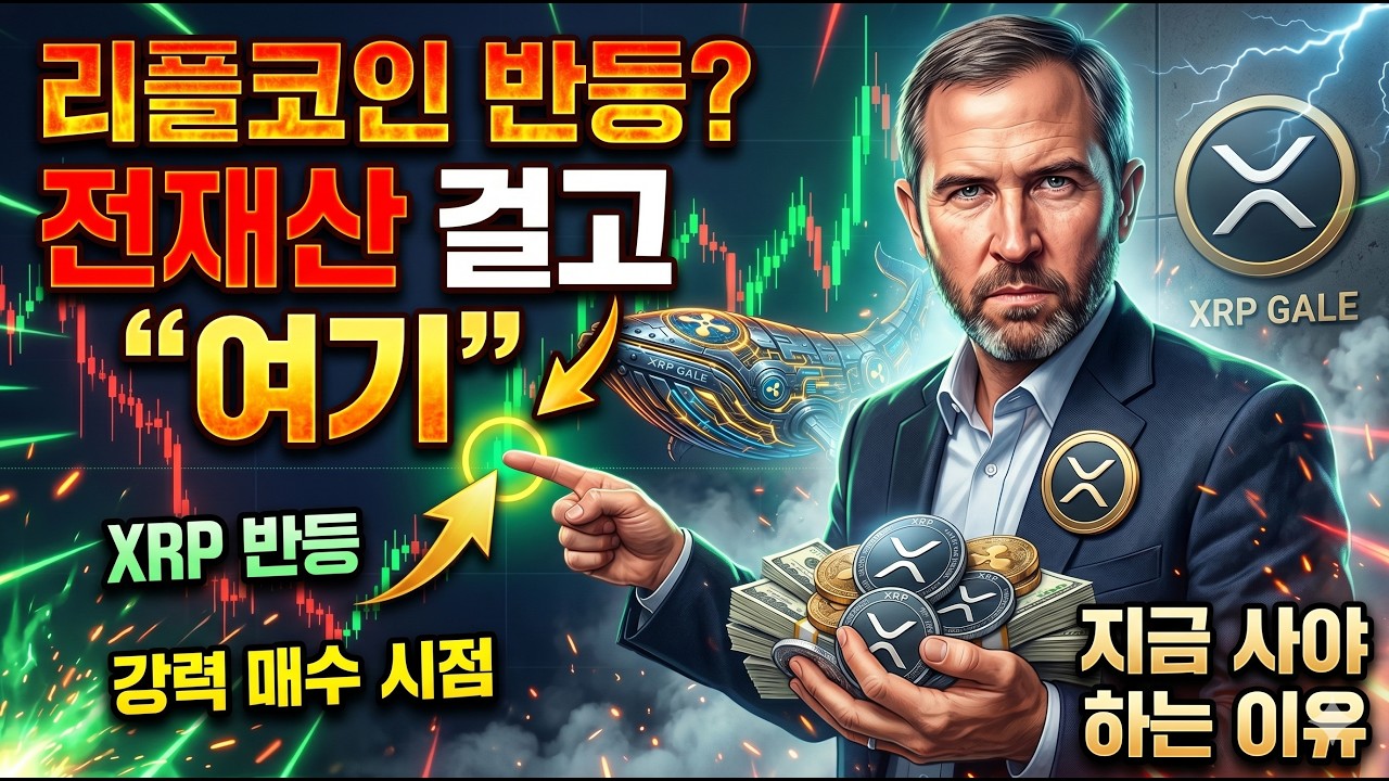 [리플코인 전망] 모든 걸 걸고 