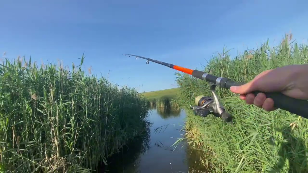 BMW+fishing =🚙🐟