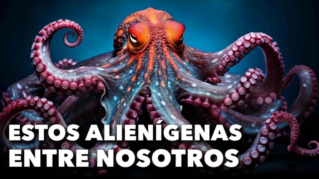 Los poderes increíbles de los pulpos: los animales más extraordinarios de la Tierra
