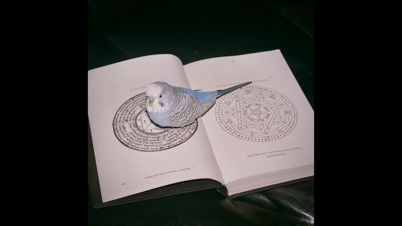 Like Cathedrals - Omnihell (Official Audio)