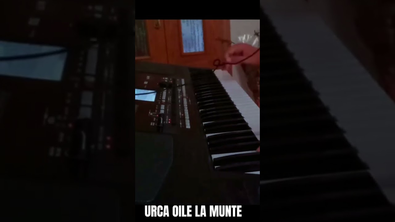 URCA OILE LA MUNTE - KORG PA300 #romania #muzicapopulara #instrumental