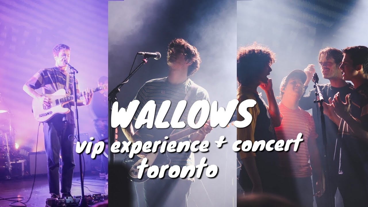 Wallows Concert Toronto 2019 | VIP Experience