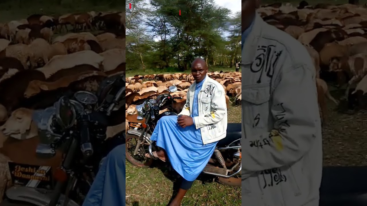 Fursa pekee kwa vijana wa TANZANIA isiyo patikana popote pale afrika mashariki na kati#Ufugaji#Mbuzi