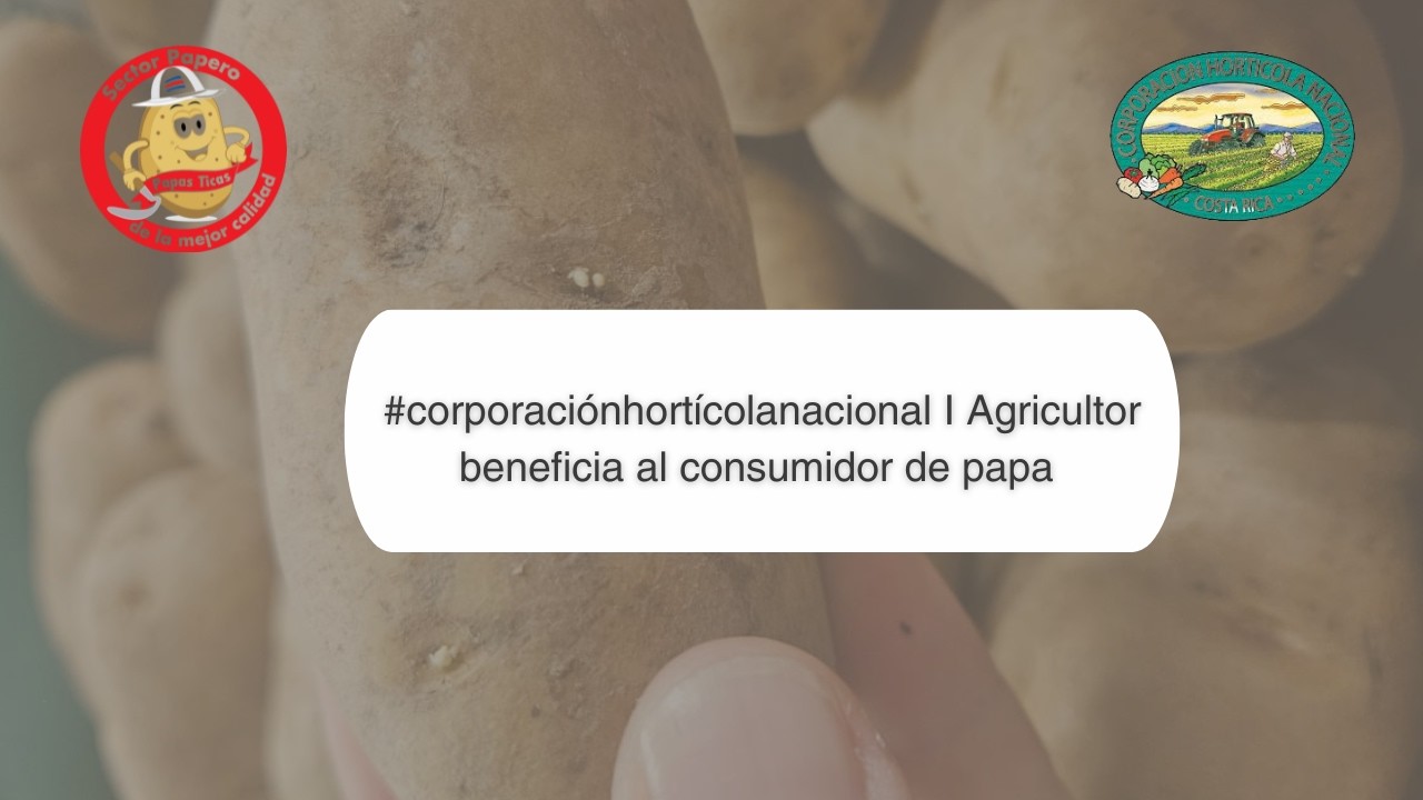 #corporaciónhortícolanacional I Conferencia de prensa: Agricultor beneficia al consumidor de papa