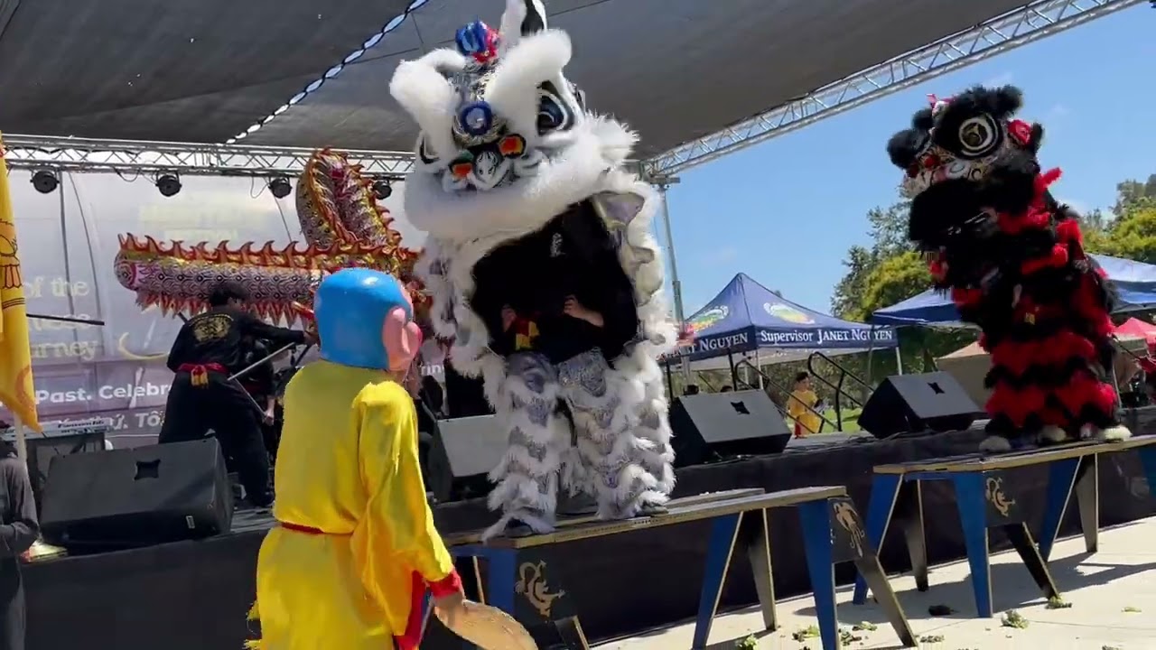Dragon and Lions Dance performance!