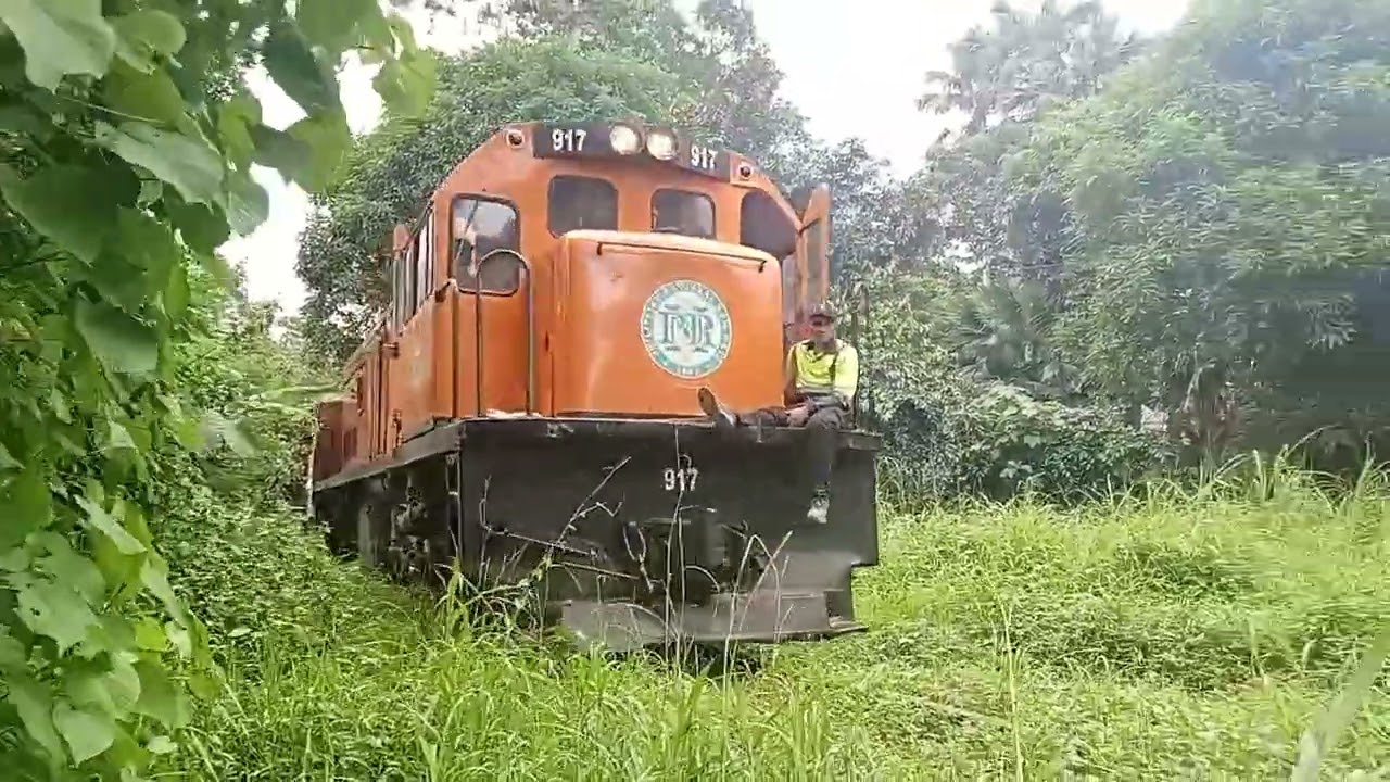 PNR DEL 917 DMT SPOTTED AT TAPI LUPI CAM SUR 