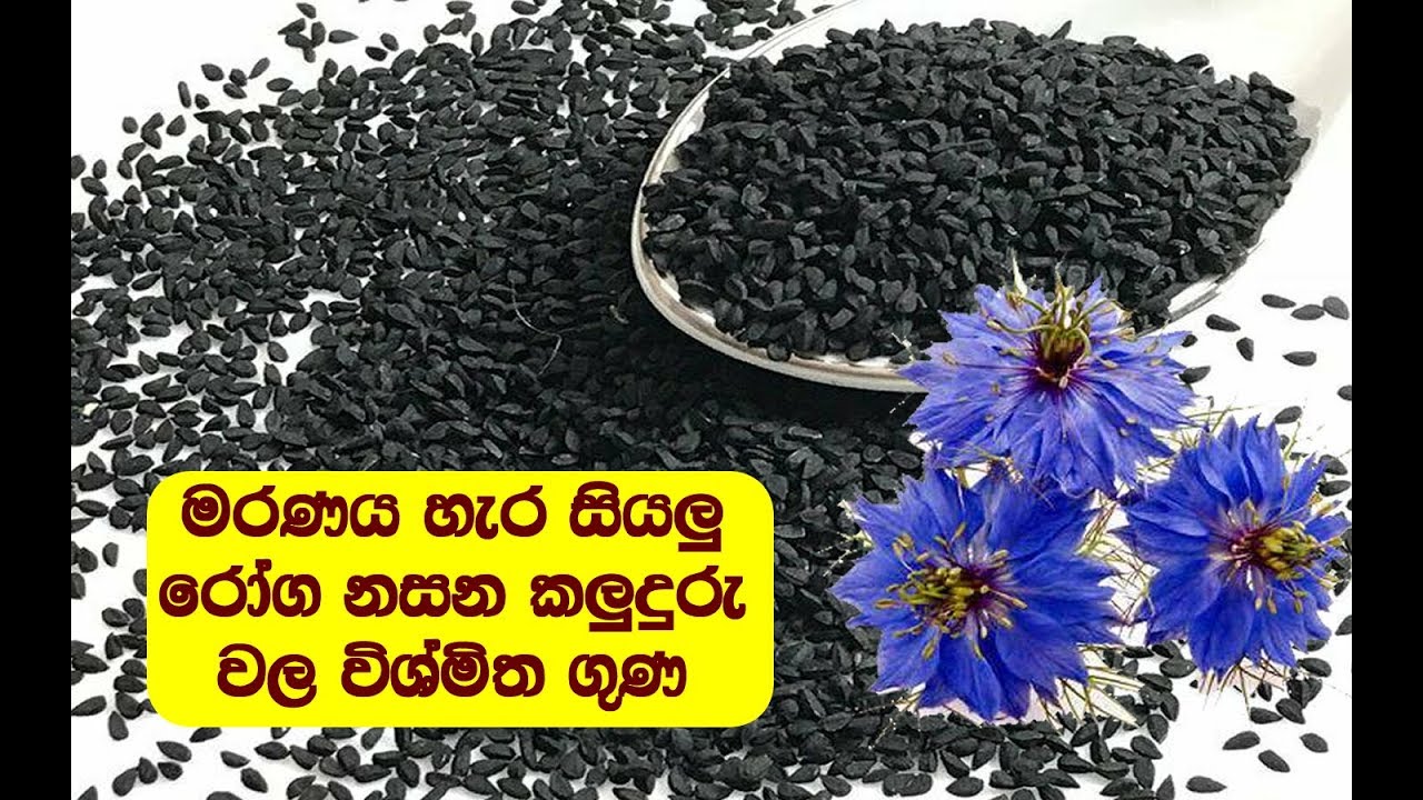 #මරණය හැර සියලු රෝග නසන කලුදුරු වල විශ්මිත ගුණ