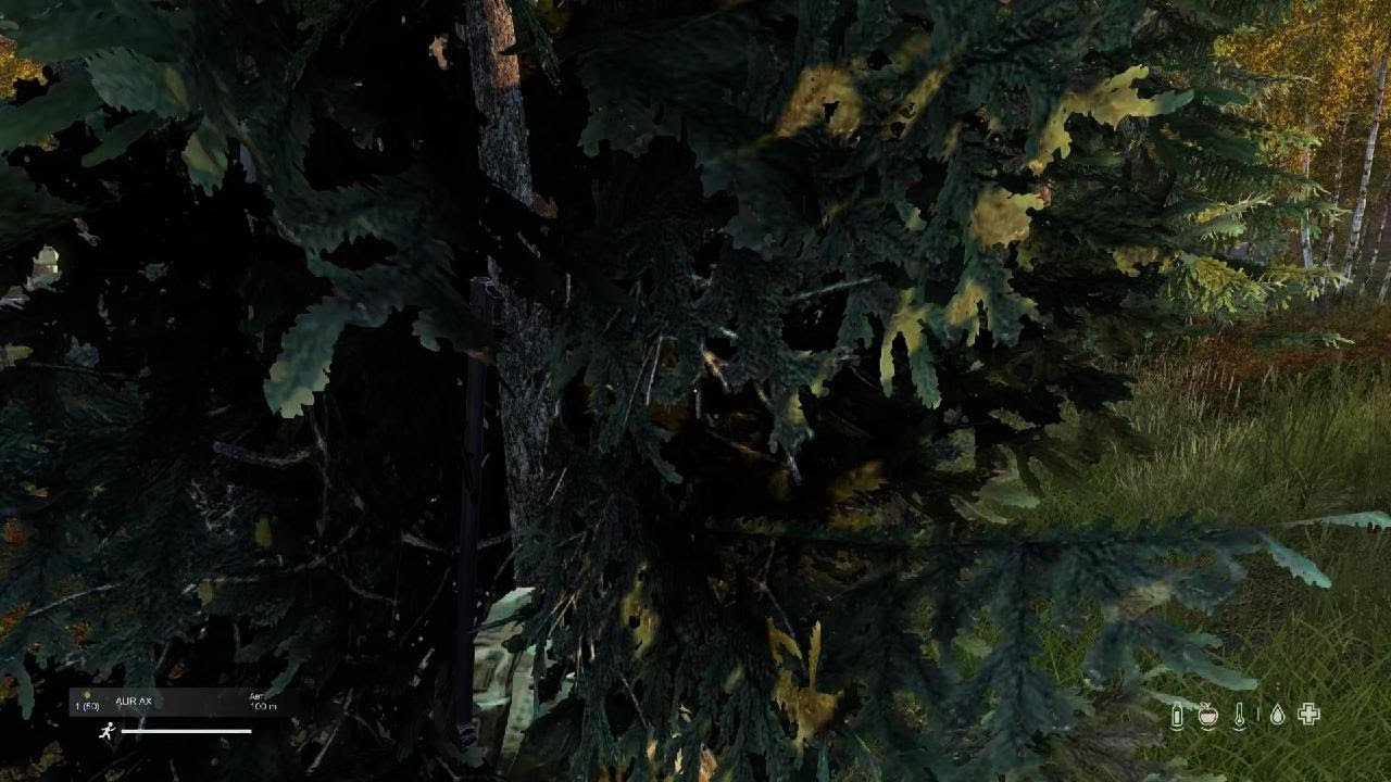 DayZ_20231122013503