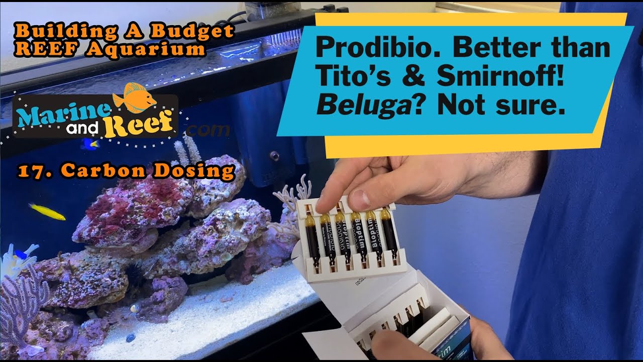 Part #17 Carbon Dosing: Building A Budget Reef Aquarium