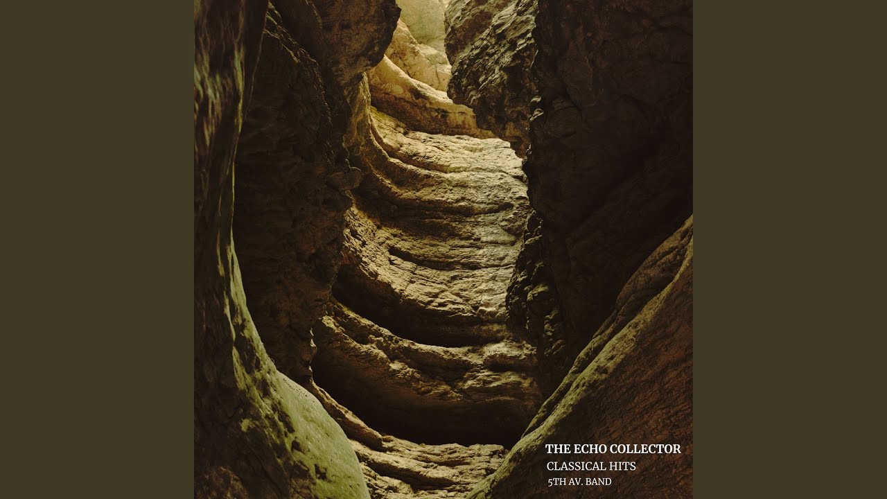 The Echo Collector