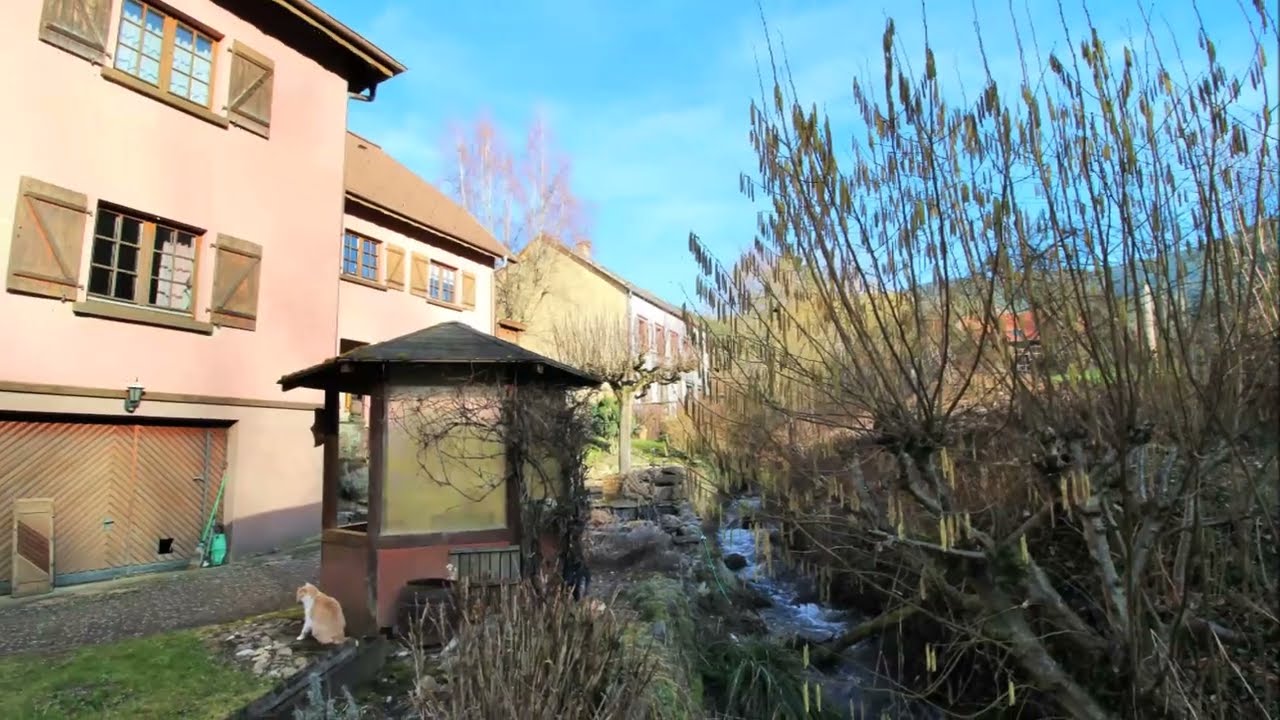 Maison familiale en pleine nature - Sainte Marie aux Mines