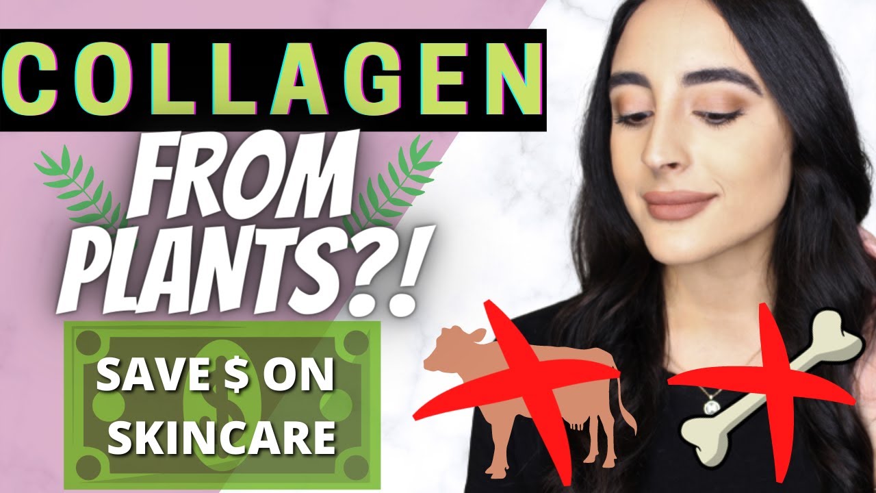 THE BASICS ABOUT COLLAGEN | Vegan Collagen Boosting Sources and Benefits