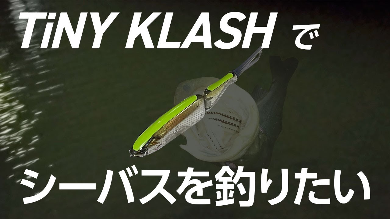 タイニークラッシュでシーバスを釣りたい